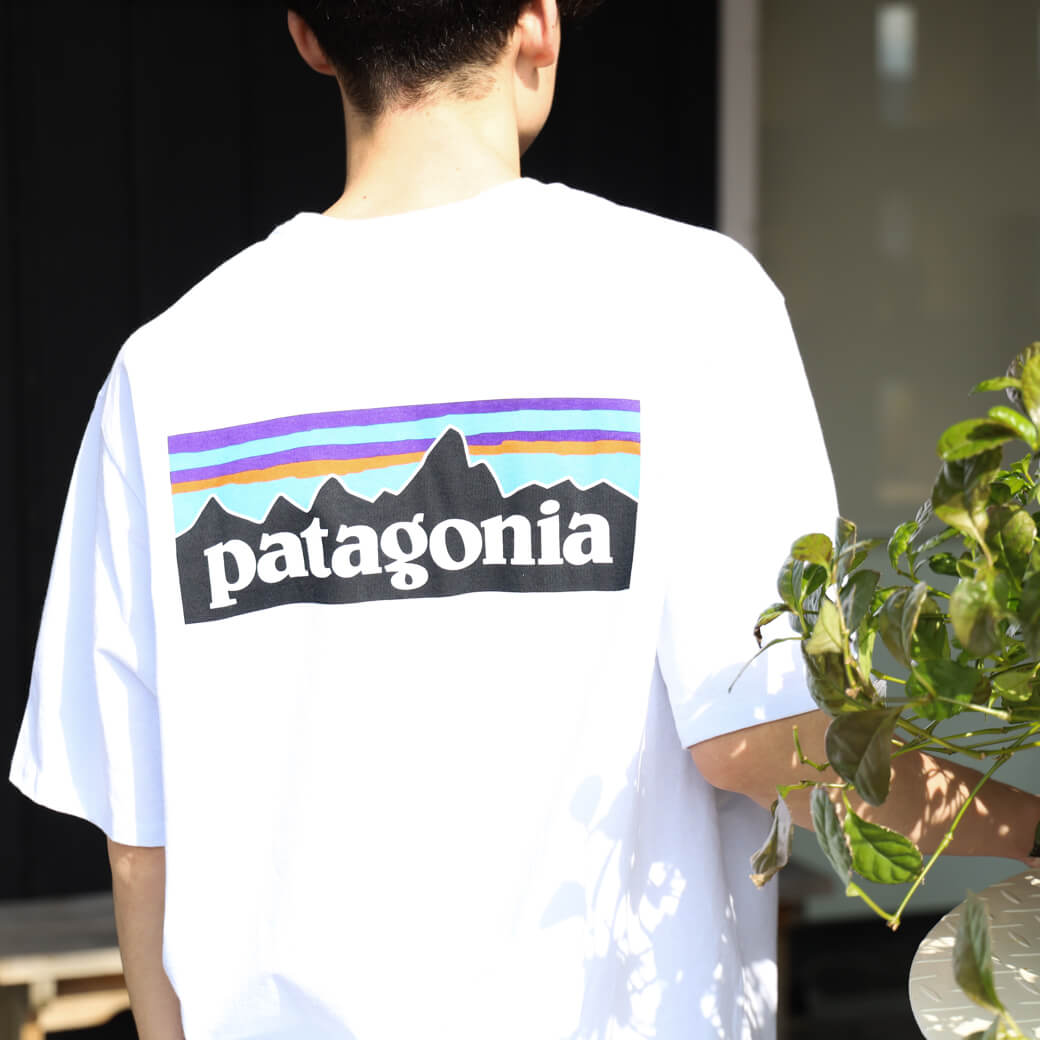 パタゴニア マーケティング 「買わないで」という広告で逆にブランド価値を高めた戦略を解説する、てらじまたくろうのブログ記事アイキャッチ画像